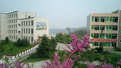 重慶永川職業教育中心 信息技術服務類專業設置詳解