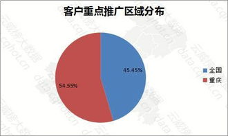 智匯山城，數領未來 重慶信息服務行業優秀案例深度解析（第223期）