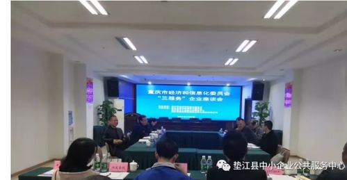 墊江召開企業(yè)座談會(huì) 重慶信息服務(wù)助力區(qū)縣發(fā)展，解讀市經(jīng)信委“三服務(wù)”新舉措
